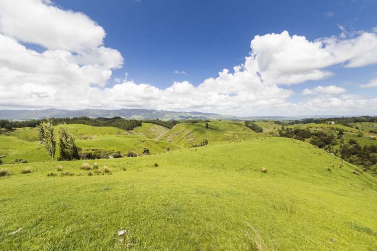 Finnis Road Pohangina_2