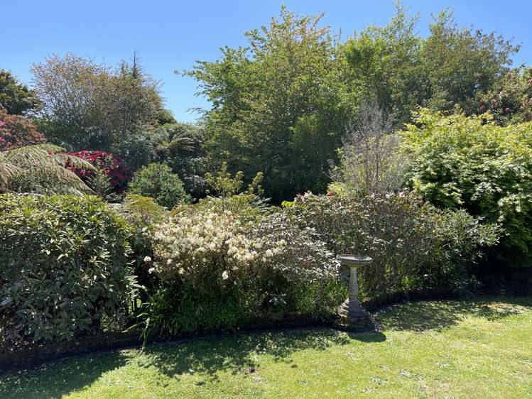 32 Antonio Street Stratford_16