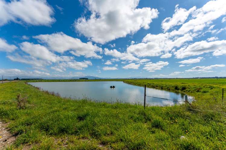 Rangitata Orari Bridge Highway Rangitata_11