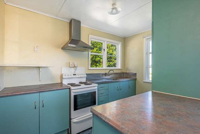 18 Goldsmith Crescent Levin_2
