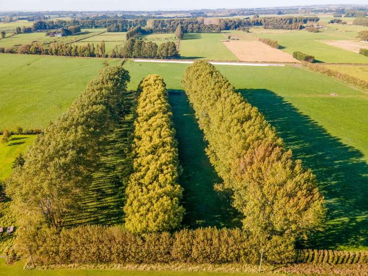 109 Marshalls Road_4