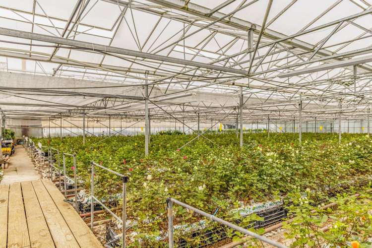 418 Appleby Highway Appleby_34