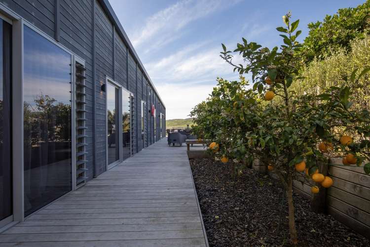 115 Riria Kereopa Memorial Drive Raglan_24