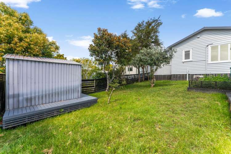 40 Ambler Avenue Glen Eden_4