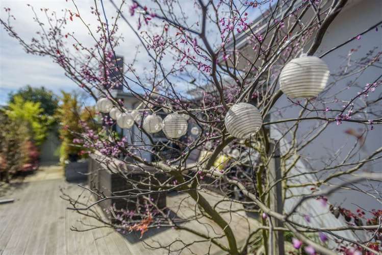 29 Woodhaven Place Parklands_20