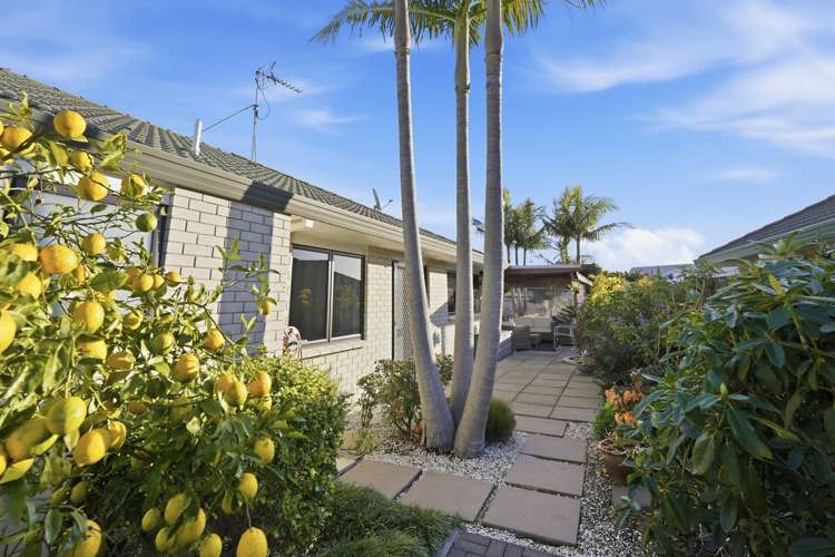 177 Grenada Street Mount Maunganui_30