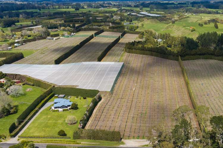 43 Jensen Road Omanawa_1