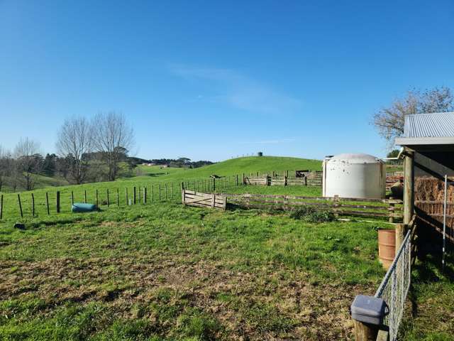 336 Dominion Road Tuakau_1