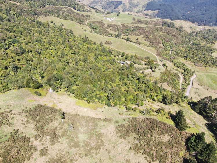 210A Goble Road Komata_45