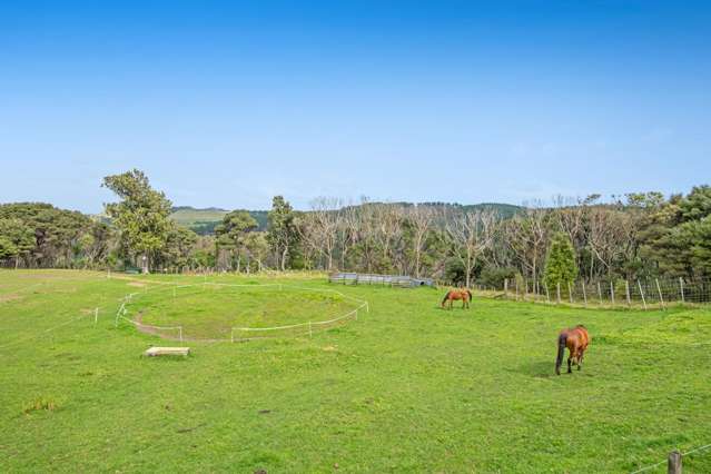 211 Wilson Road Helensville_1