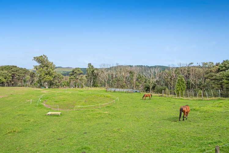 211 Wilson Road Helensville_1