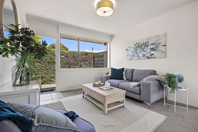 2/37 Peek Street Ellerslie_2
