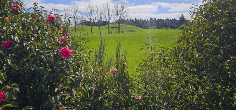 94 Oturoa Road Hamurana_2