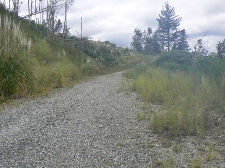 Mangatoetoe Road Kaitaia_1
