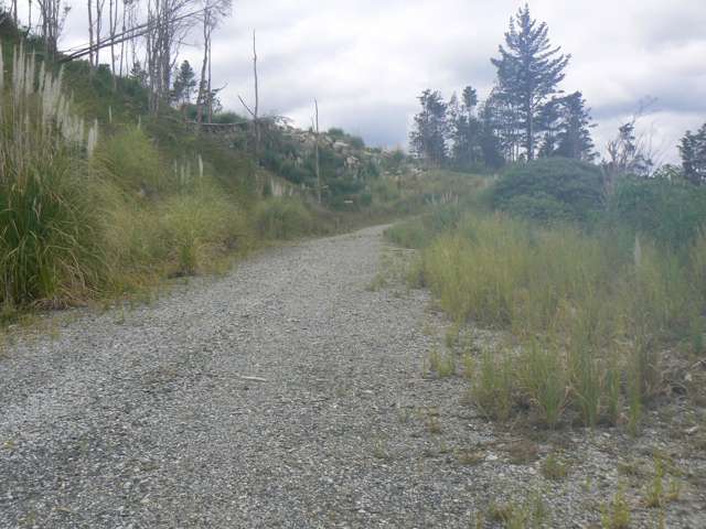 Mangatoetoe Road Kaitaia_1