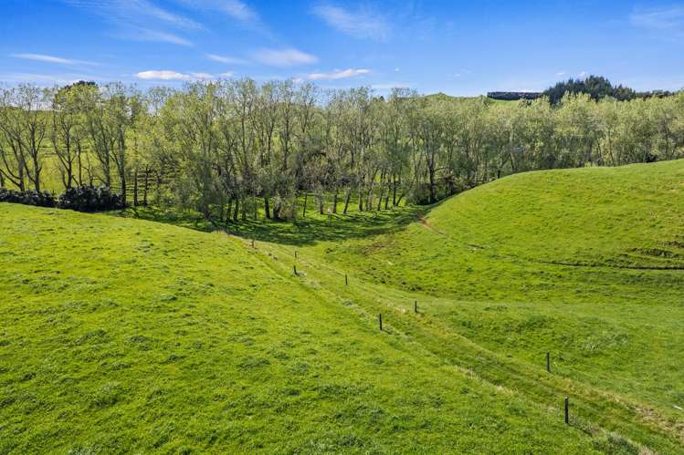 873 Croydon Road Te Popo_25
