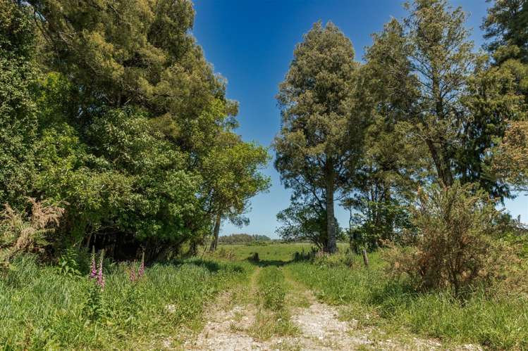 199 Birchfield Road, SH67 Waimangaroa_23