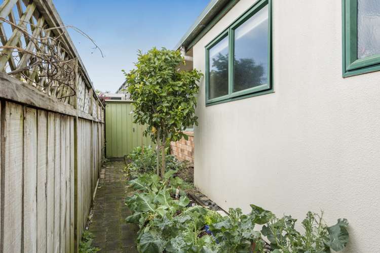 42 Highfields Drive Katikati_19