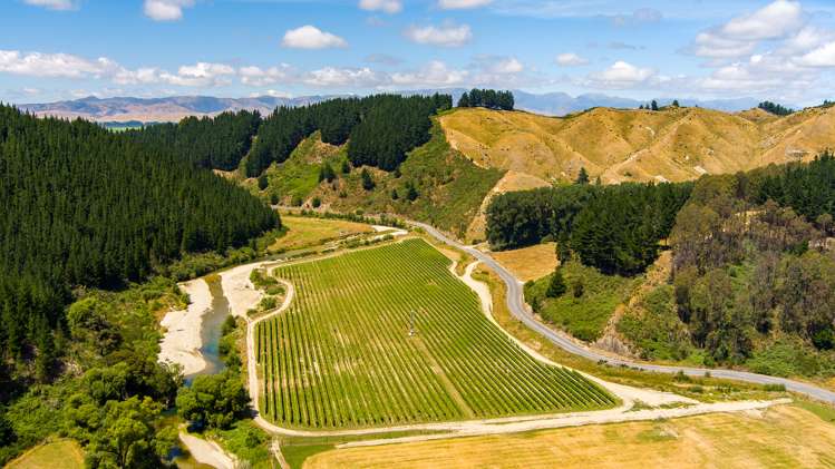 Northbank Road Kaituna_8