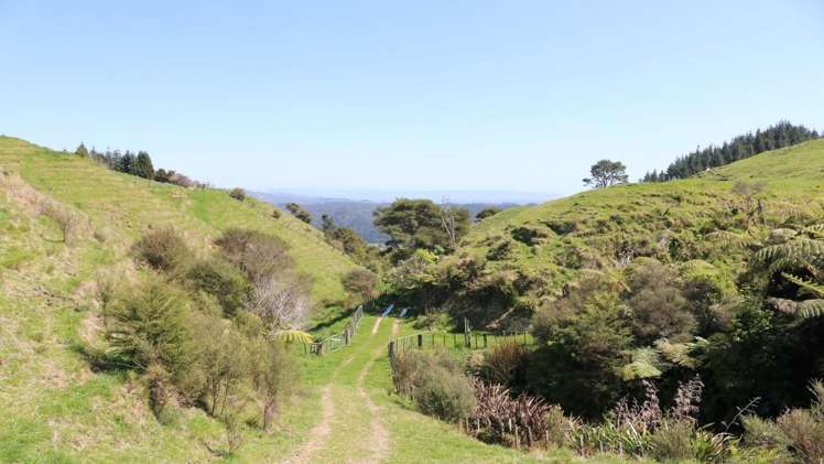 471b Taneatua Road Taneatua_18