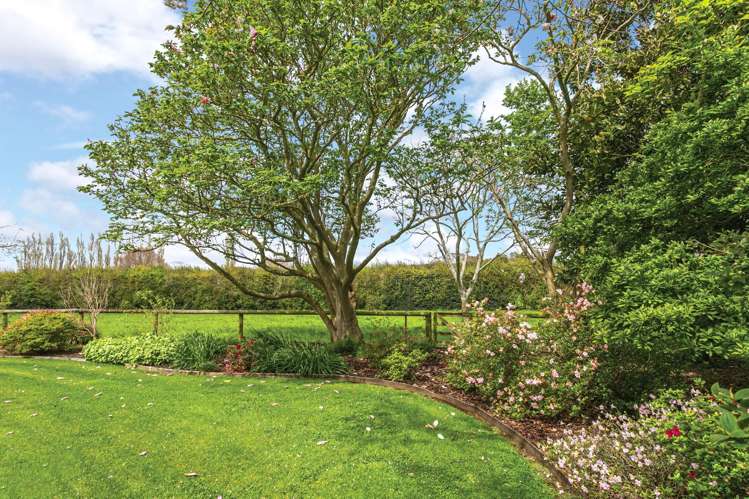 696a Tower Road Matamata_17