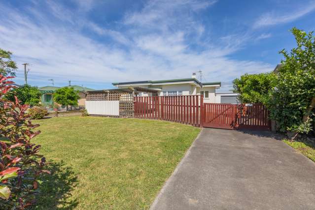 193A Guppy Road Taradale_1