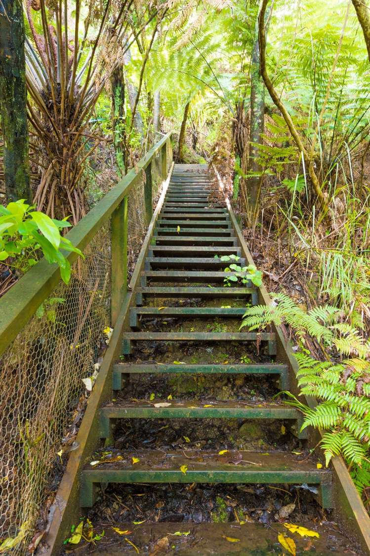 10 Maunganui Road Birkenhead_22