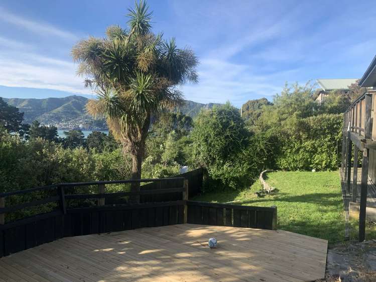 56 Marine Drive Diamond Harbour_28