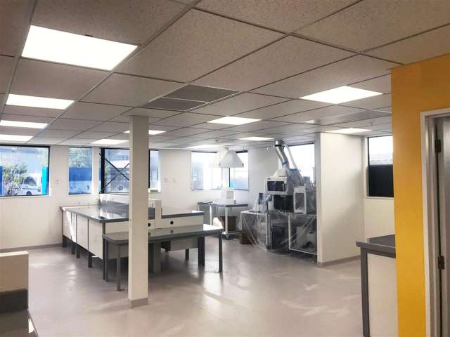 36b Seaview Road Seaview_4