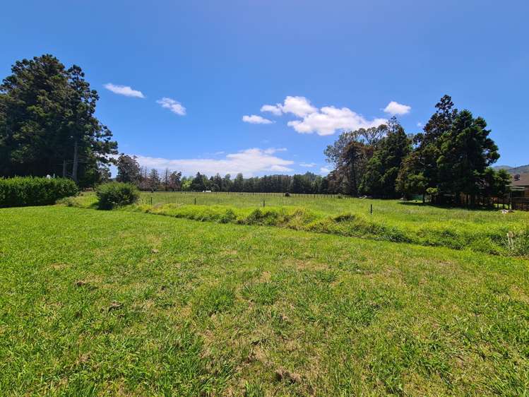 39E Whangapoua Road Coromandel_12