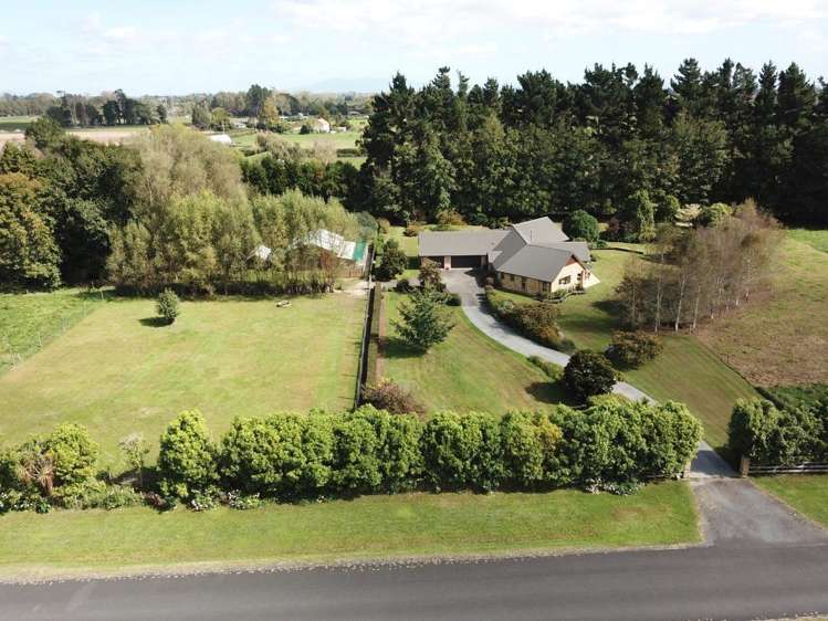 23 Trentham Road Matangi_33