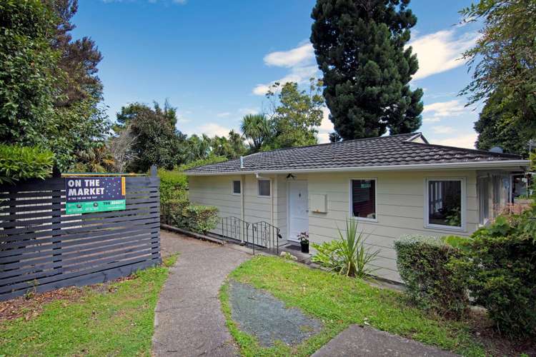 2a Harper Street Nelson City_1