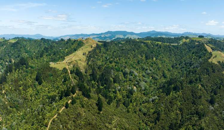 31 Ngatitangata Road Waihi_14