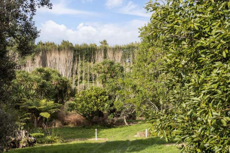 275 Athenree Road Katikati_6