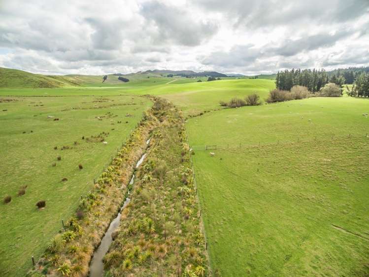 2/449 Hororata Road Coalgate_8