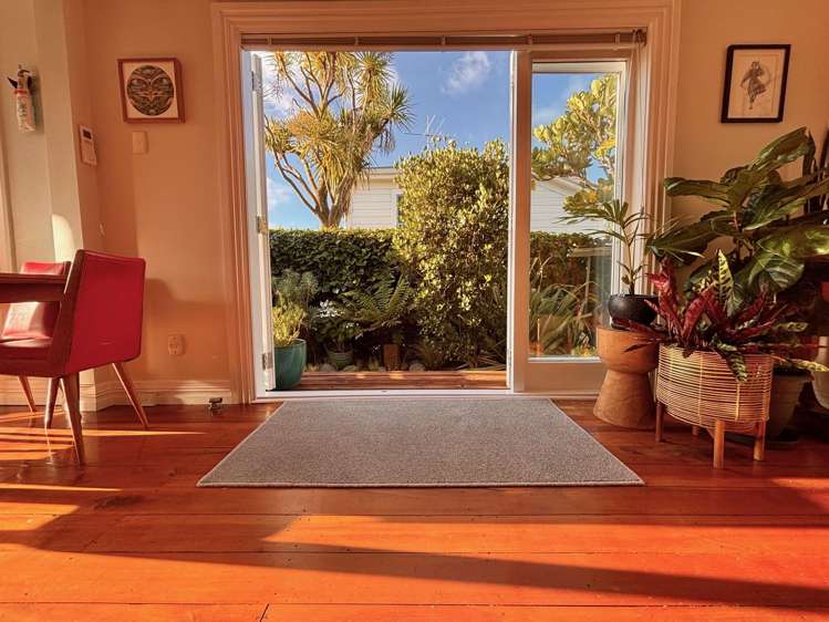 6 Seddon Terrace Newtown_4