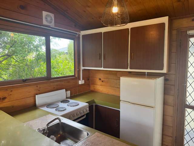 492 Tay Street Hawthorndale_1