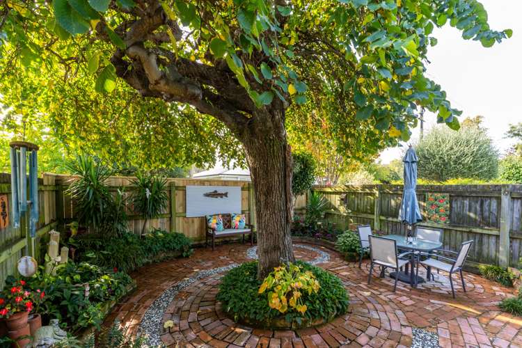 15a Ward Street Springlands_10