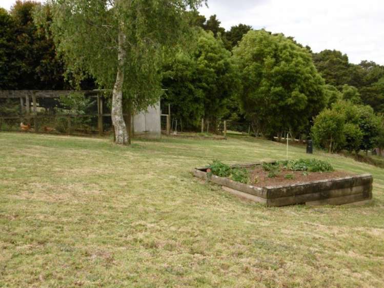 264 Vinegar Hill Road Kauri_10