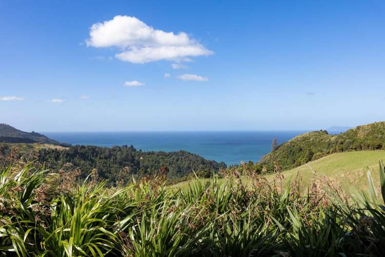 231 Heard Road Waihi_36