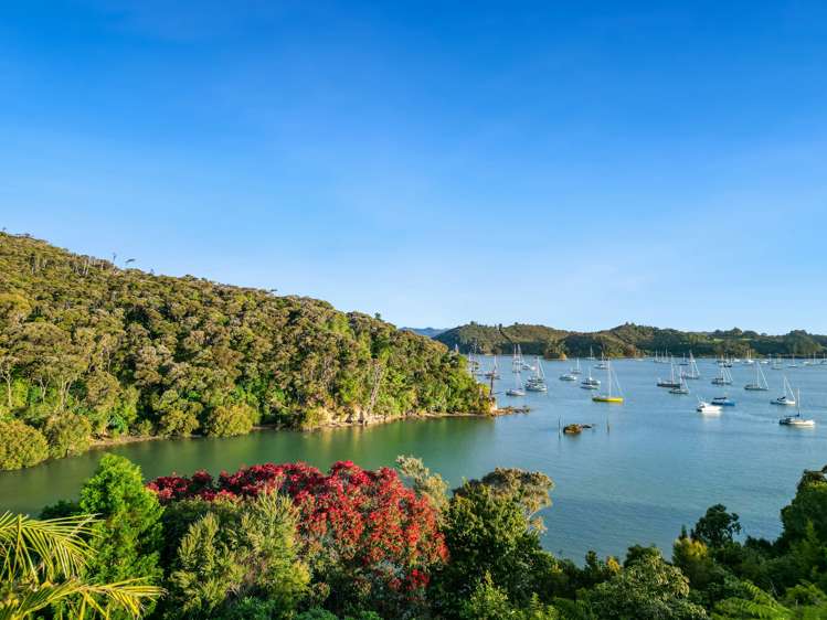 15 Kakapu Road Russell Surrounds_8