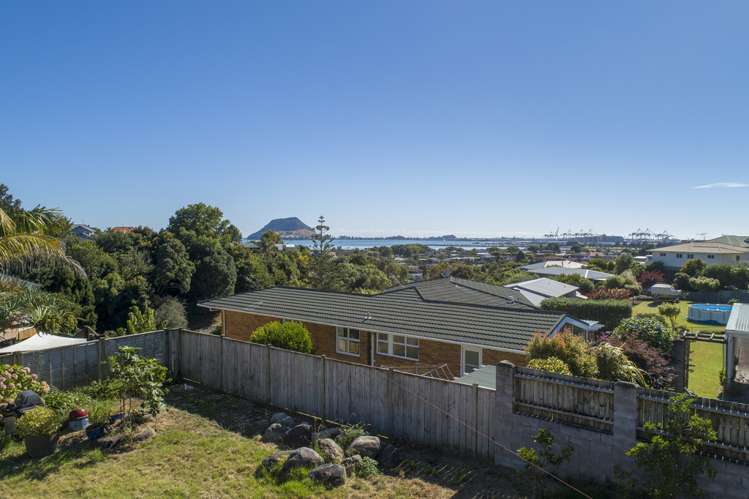 53a Milton Road Otumoetai_6