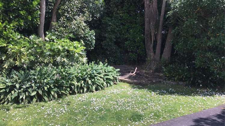 73 Opaheke Road Opaheke_18