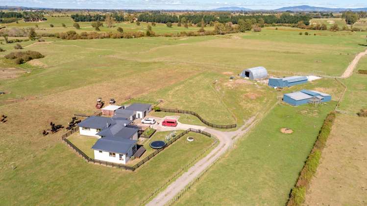 1961 Old Te Aroha Road Gordon_22