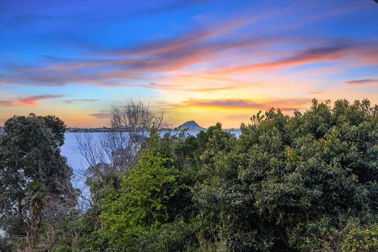 244 Maungatapu Road Maungatapu_22