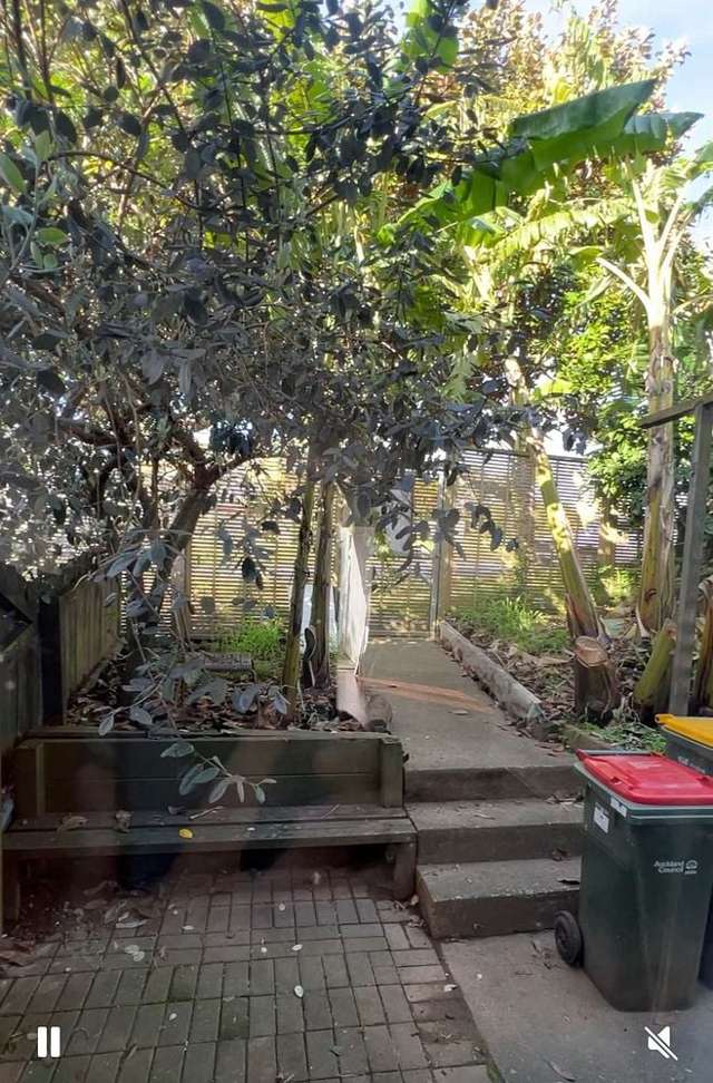 59 Rakich Place Henderson_2