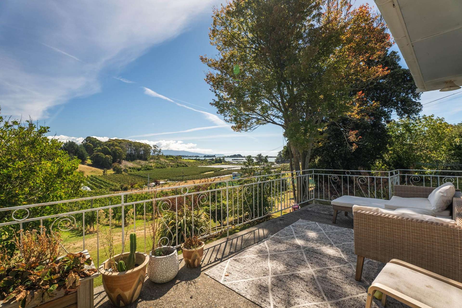 89 Weka Road Tasman_0