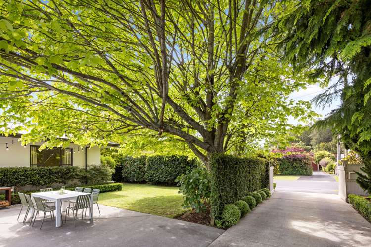 8 Bailey Avenue Claudelands_23