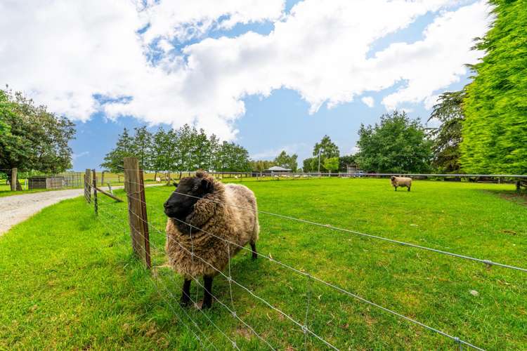 120 Summerleaze Road Otipua_7