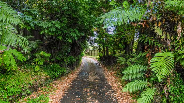 18 Rimu Street Glenholme_7